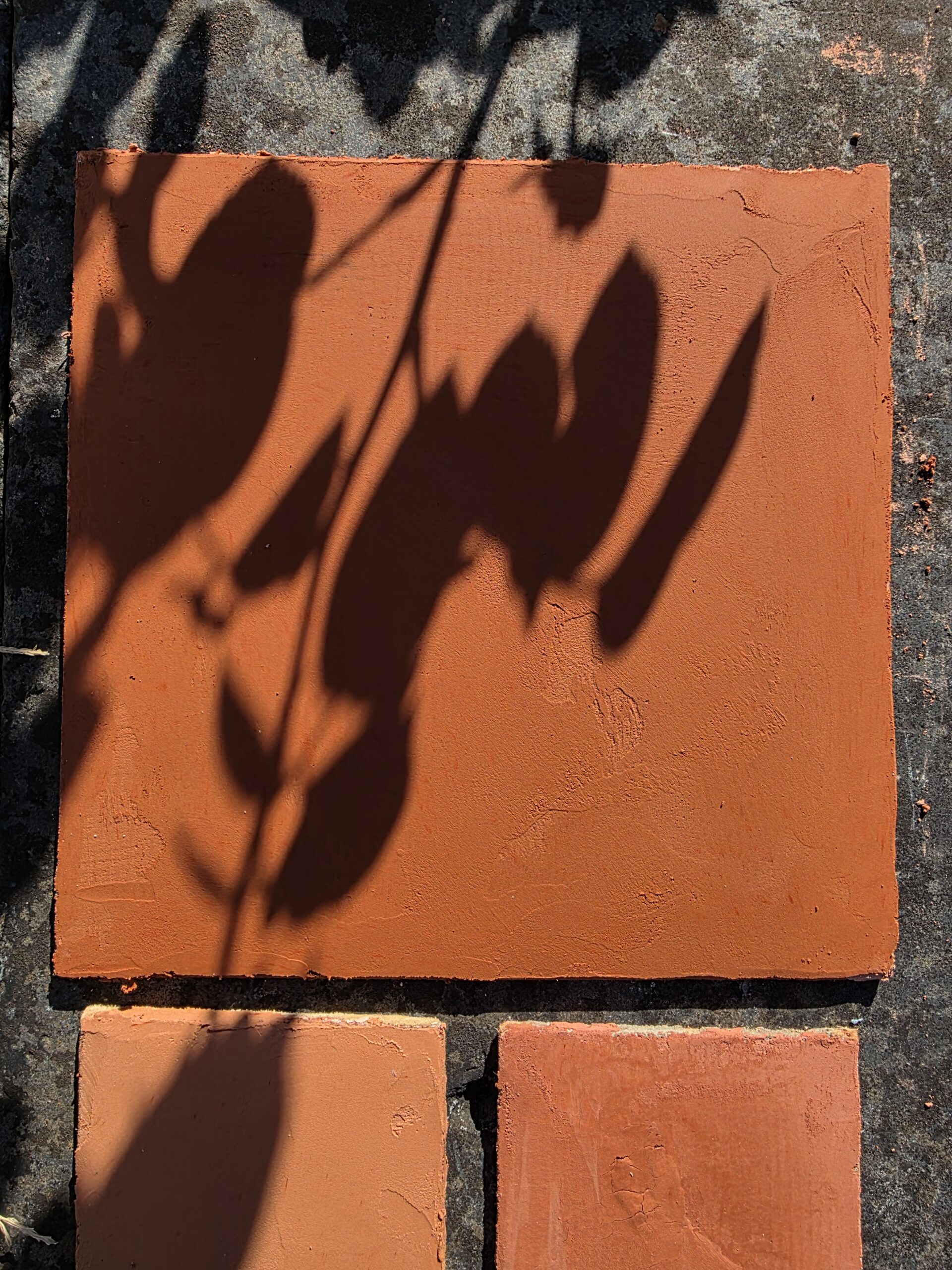 Détail d'un enduit de chaux couleur terre cuite, à la texture minérale et aux nuances terracota, sous des ombres végétales.