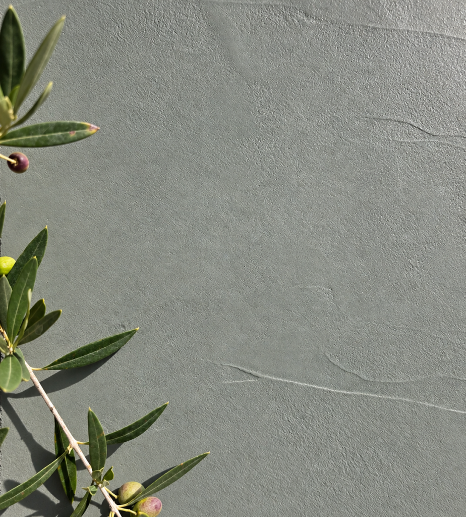 Mes prestations Gros plan sur un béton ciré vert grisé à la texture légèrement granuleuse, accompagné d'une branche d'olivier.